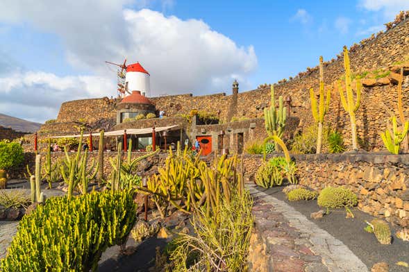 César Manrique Tour of Lanzarote