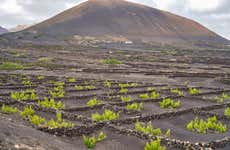 Vega de Yuco Testeina Winery Visit